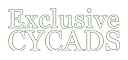 Exclusive Cycads SA